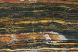 Polished Tiger Iron Stromatolite - ( Billion Years) #75852-1